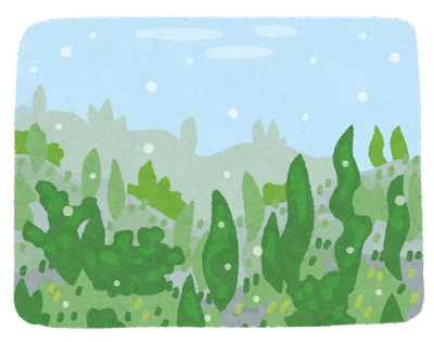 CO2を吸収するのは陸上植物だけじゃない！海洋生物による「ブルーカーボン」って？