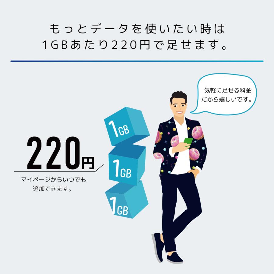 日本通信　日本通信SIMスターターパック　NT-ST2-P（ドコモネットワーク / SIMカードは申込後に配送）　※申し込み有効期限：2025年9月末日まで　送料無料