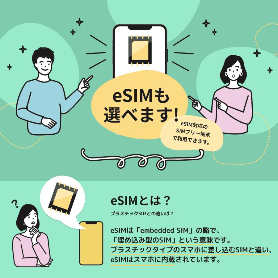 日本通信　日本通信SIMスターターパック　NT-ST2-P（ドコモネットワーク / SIMカードは申込後に配送）　※申し込み有効期限：2025年9月末日まで　送料無料