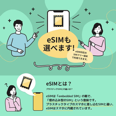 日本通信　日本通信SIMスターターパック　NT-ST2-P（ドコモネットワーク / SIMカードは申込後に配送）　※申し込み有効期限：2025年9月末日まで　送料無料