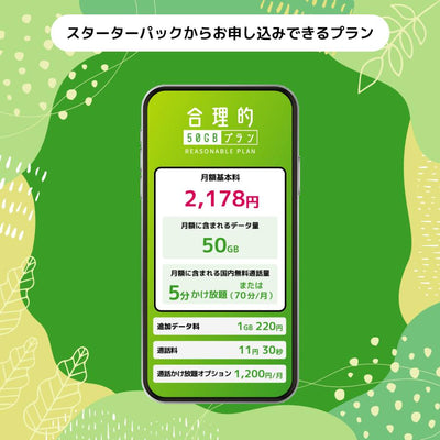 日本通信　日本通信SIMスターターパック　NT-ST2-P（ドコモネットワーク / SIMカードは申込後に配送）　※申し込み有効期限：2025年9月末日まで　送料無料