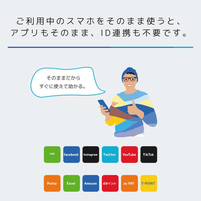 日本通信　日本通信SIMスターターパック　NT-ST2-P（ドコモネットワーク / SIMカードは申込後に配送）　※申し込み有効期限：2025年9月末日まで　送料無料