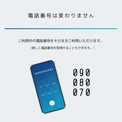 日本通信　日本通信SIMスターターパック　NT-ST2-P（ドコモネットワーク / SIMカードは申込後に配送）　※申し込み有効期限：2025年9月末日まで　送料無料